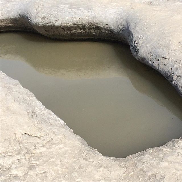 Archillect ID 392049