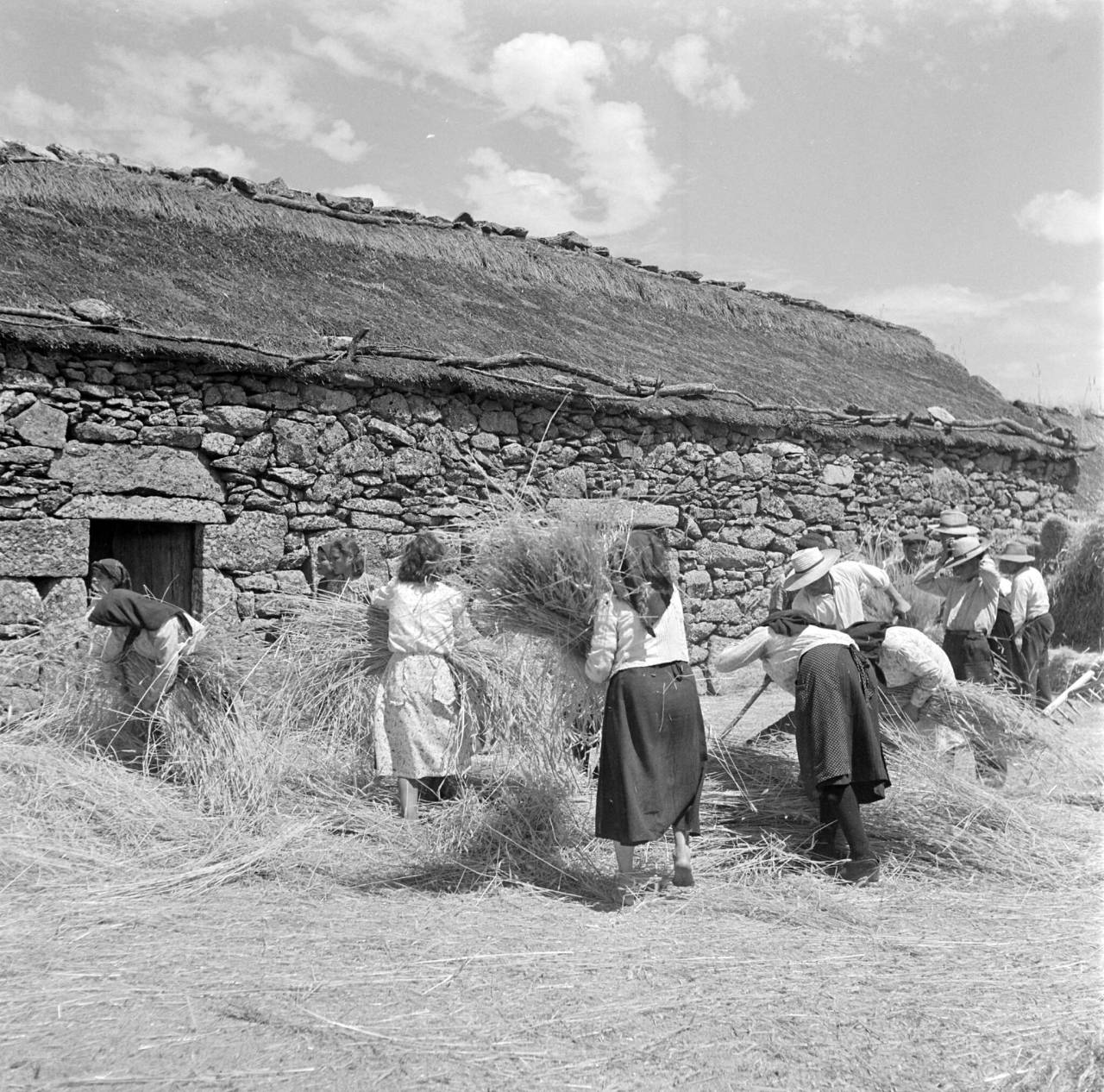 Archillect ID 392055