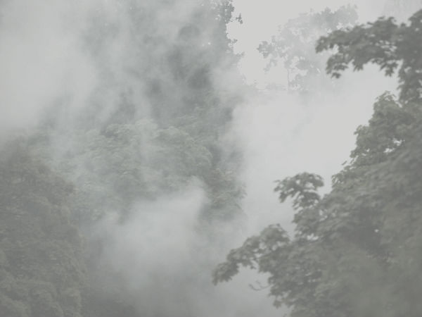 Archillect ID 392075