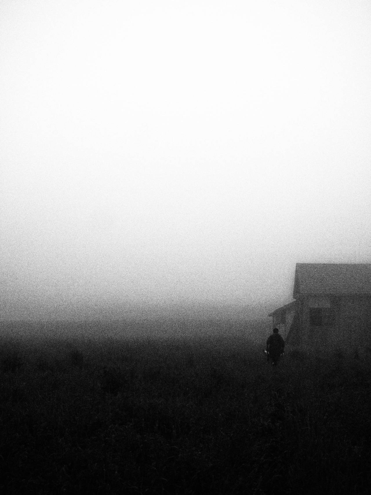 Archillect ID 392078