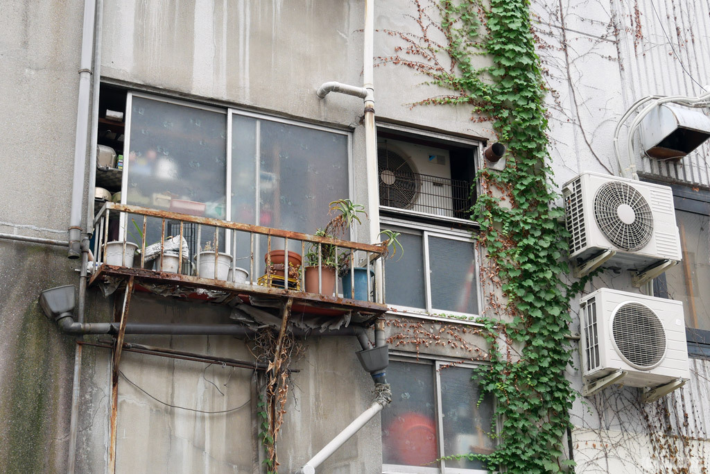 Archillect ID 392100