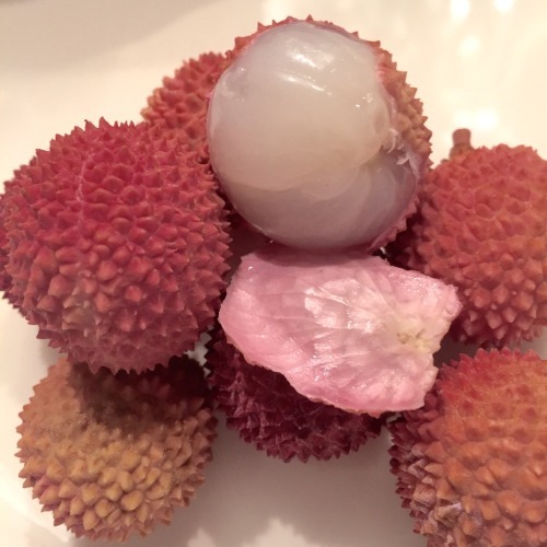 Archillect ID 392161