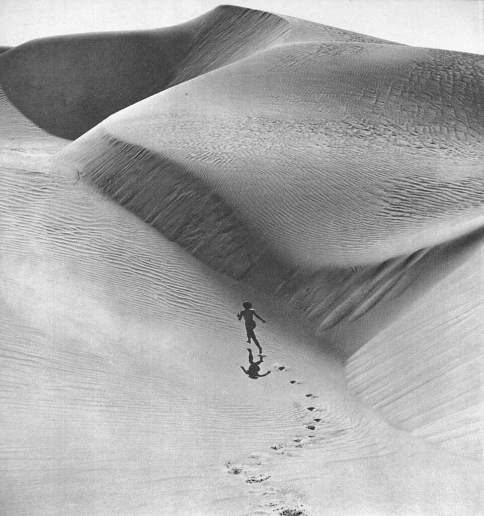 Archillect ID 392170