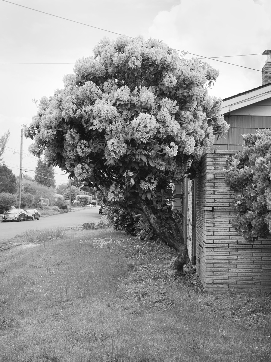 Archillect ID 392177