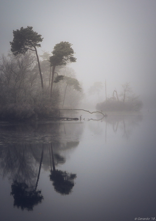 Archillect ID 392178