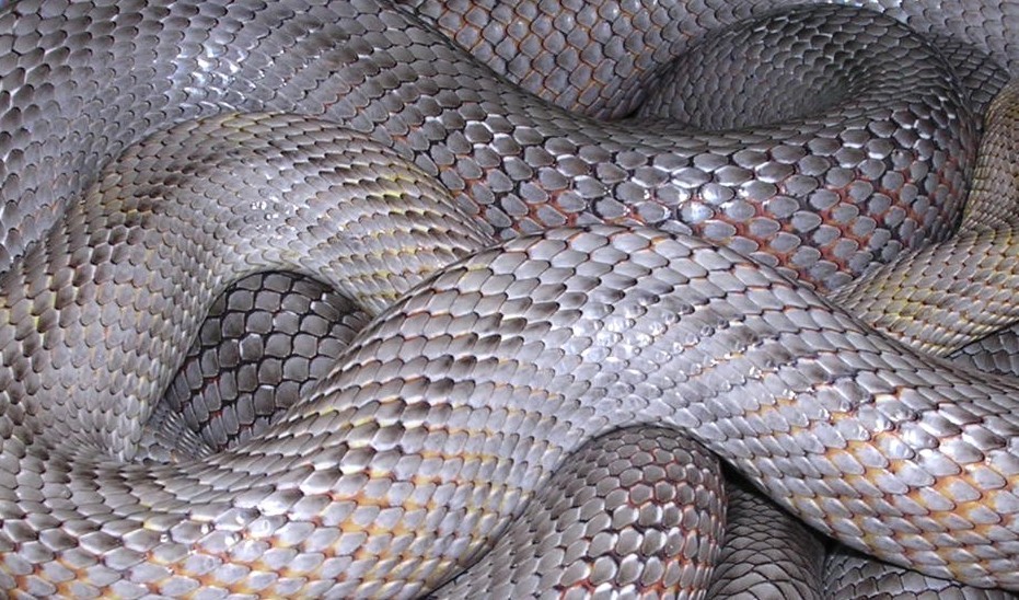 Archillect ID 392190