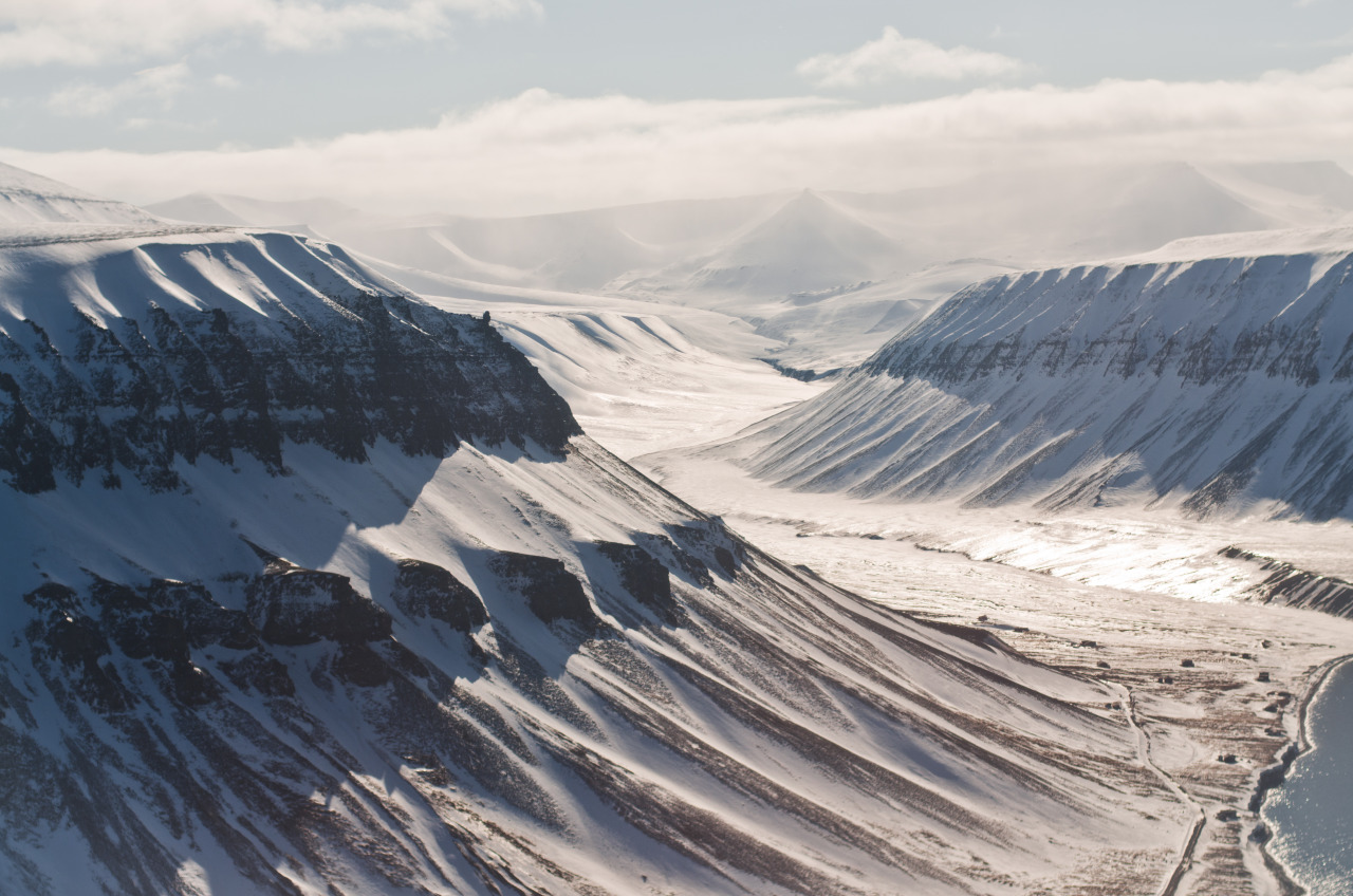 Archillect ID 392194