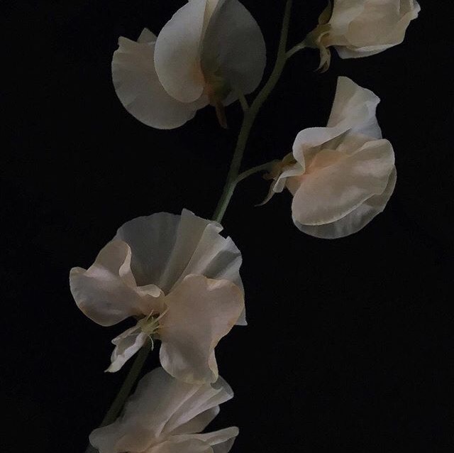 Archillect ID 392196