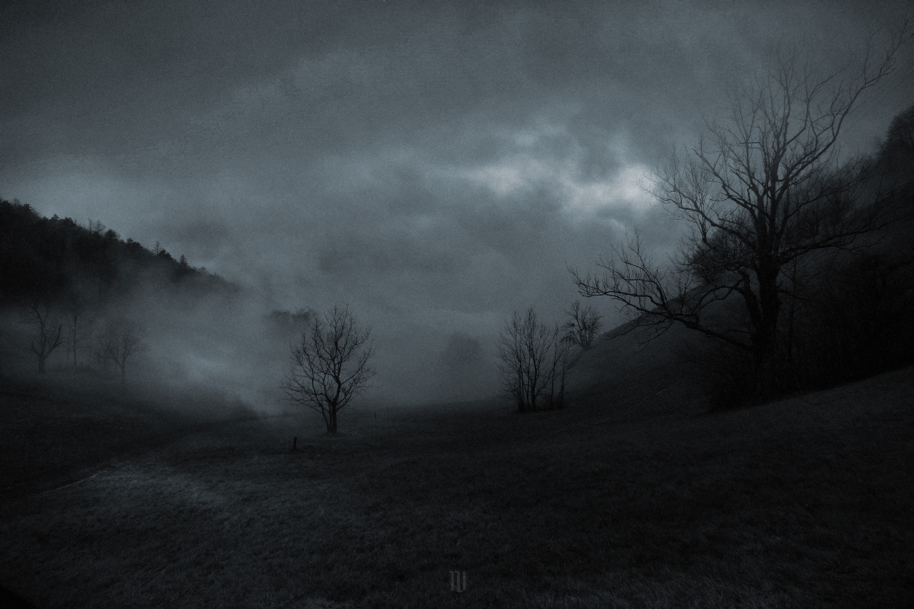 Archillect ID 392229