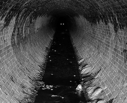 Archillect ID 392233