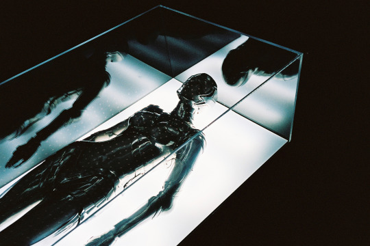 Archillect ID 392247