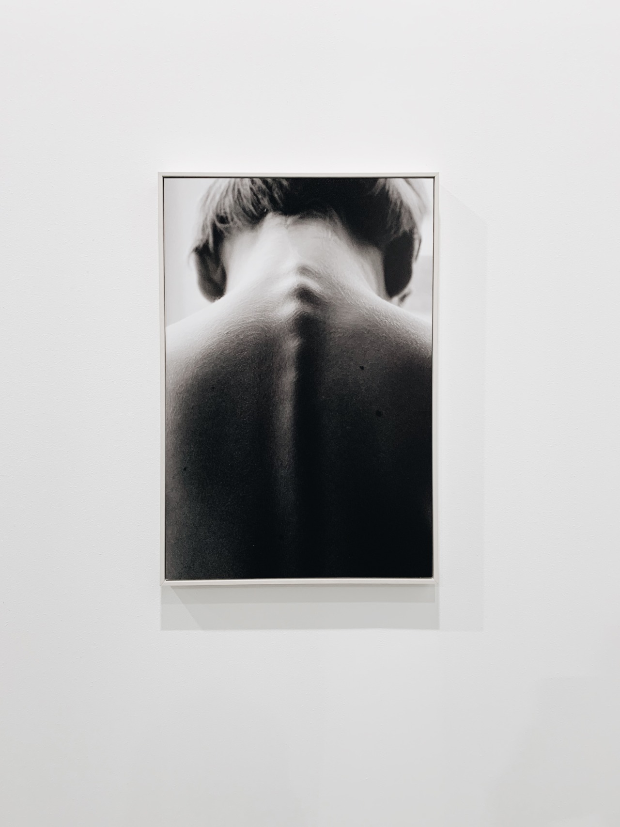 Archillect ID 392259