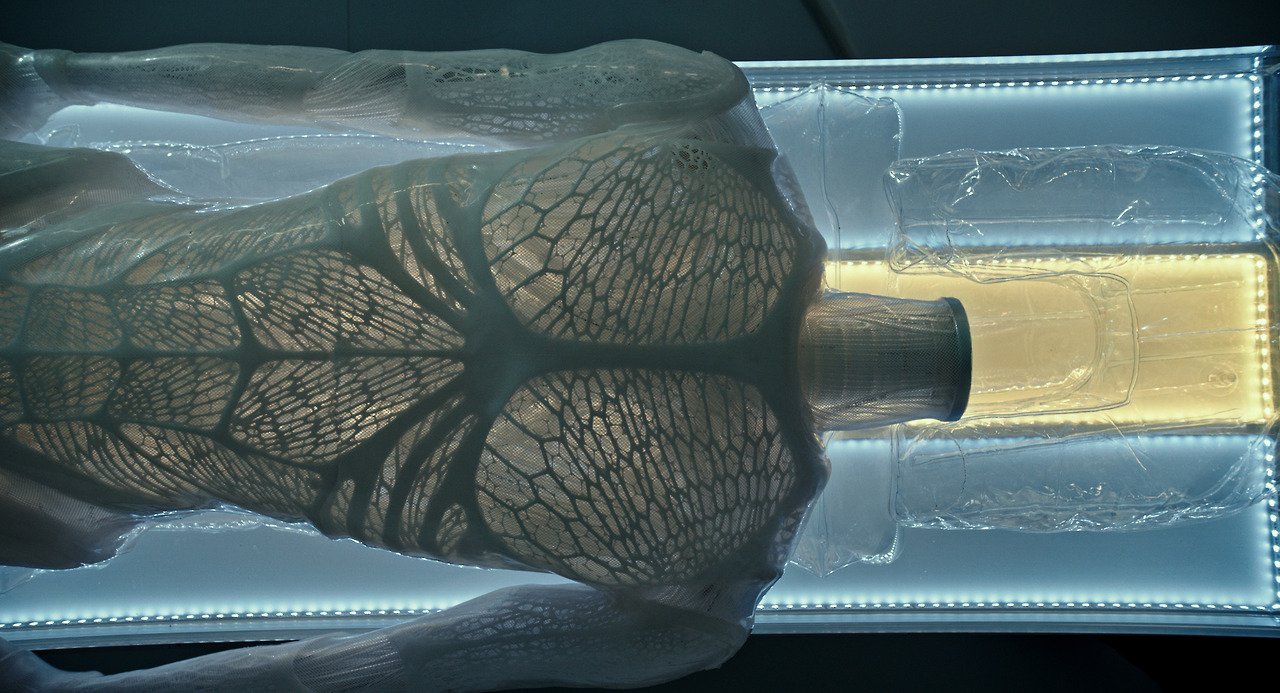 Archillect ID 392268