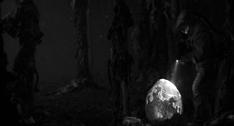 Archillect ID 392277