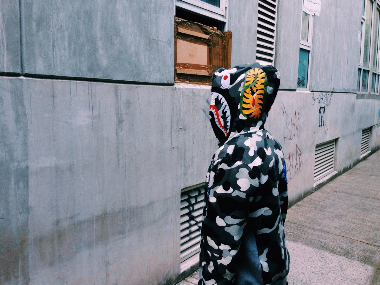 Archillect ID 392312