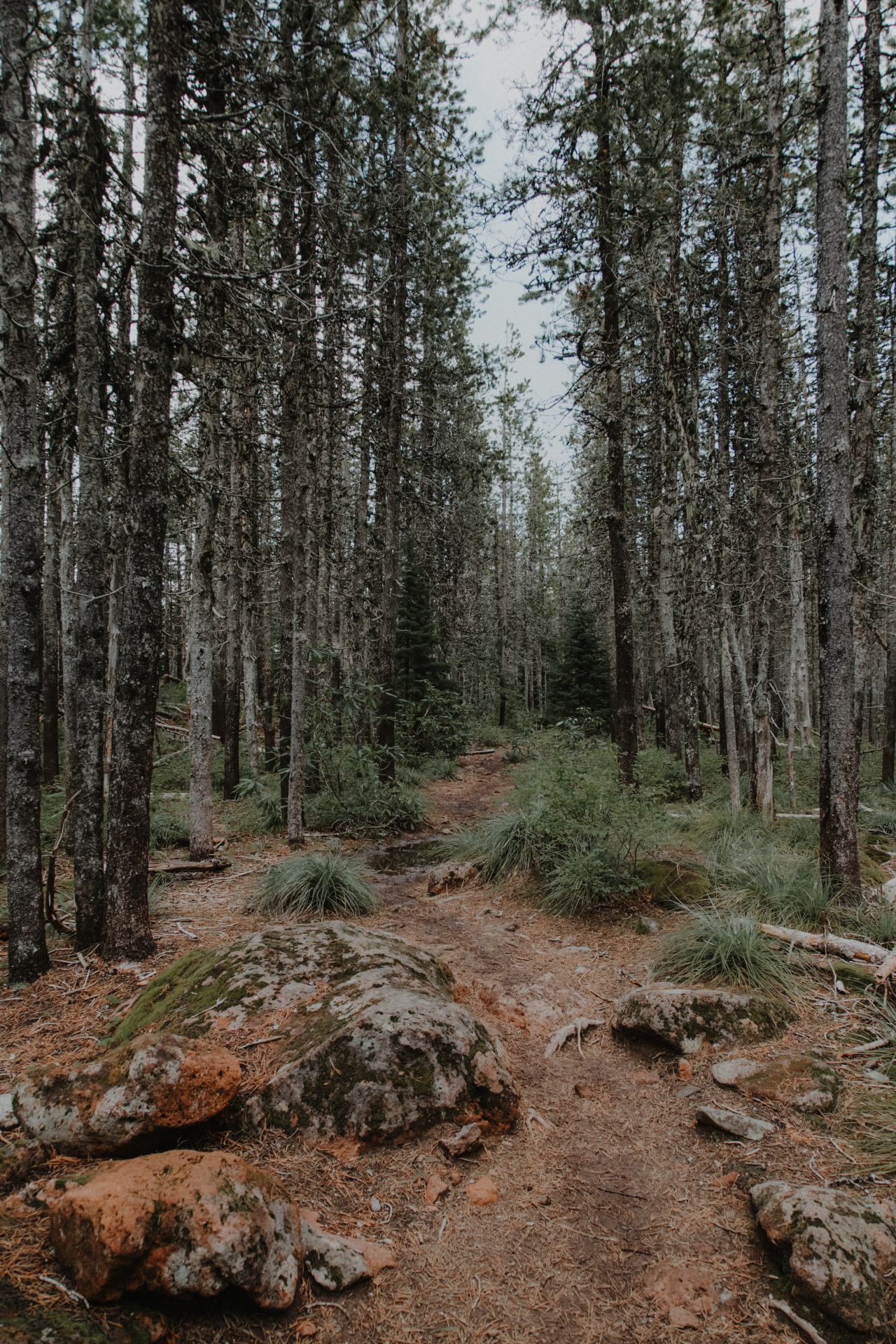 Archillect ID 392341