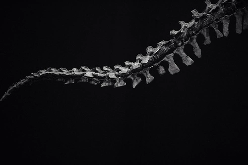 Archillect ID 392342