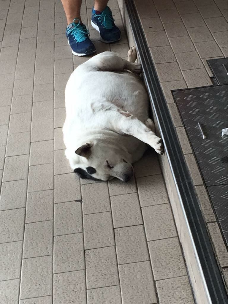 Archillect ID 392370