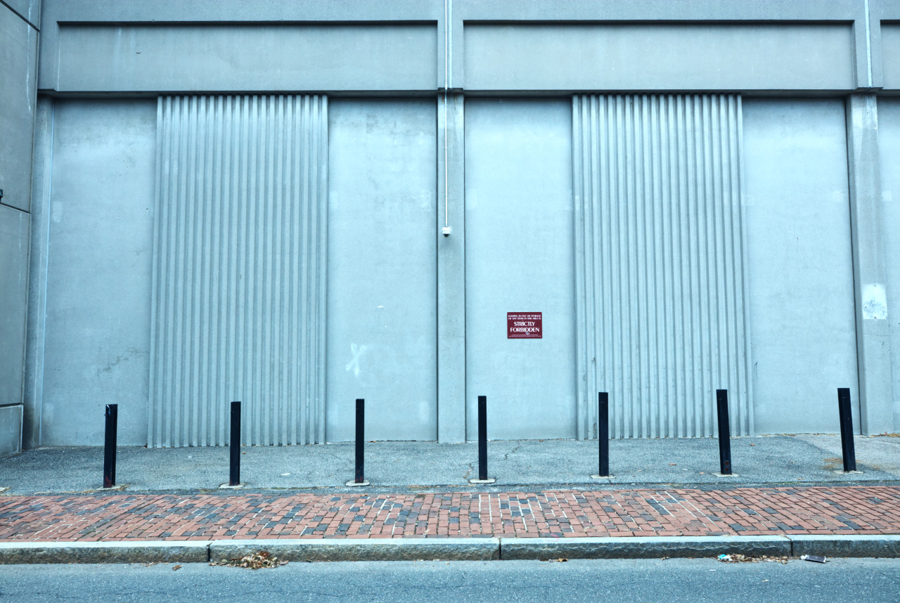 Archillect ID 392379