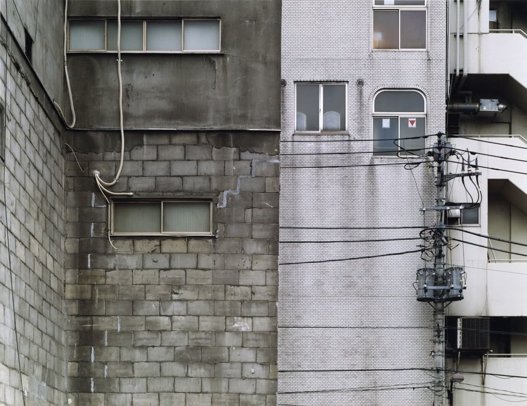 Archillect ID 392397