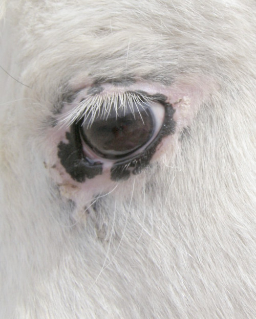 Archillect ID 392419