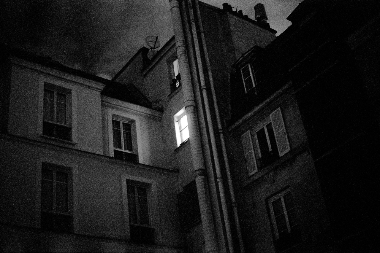 Archillect ID 392437