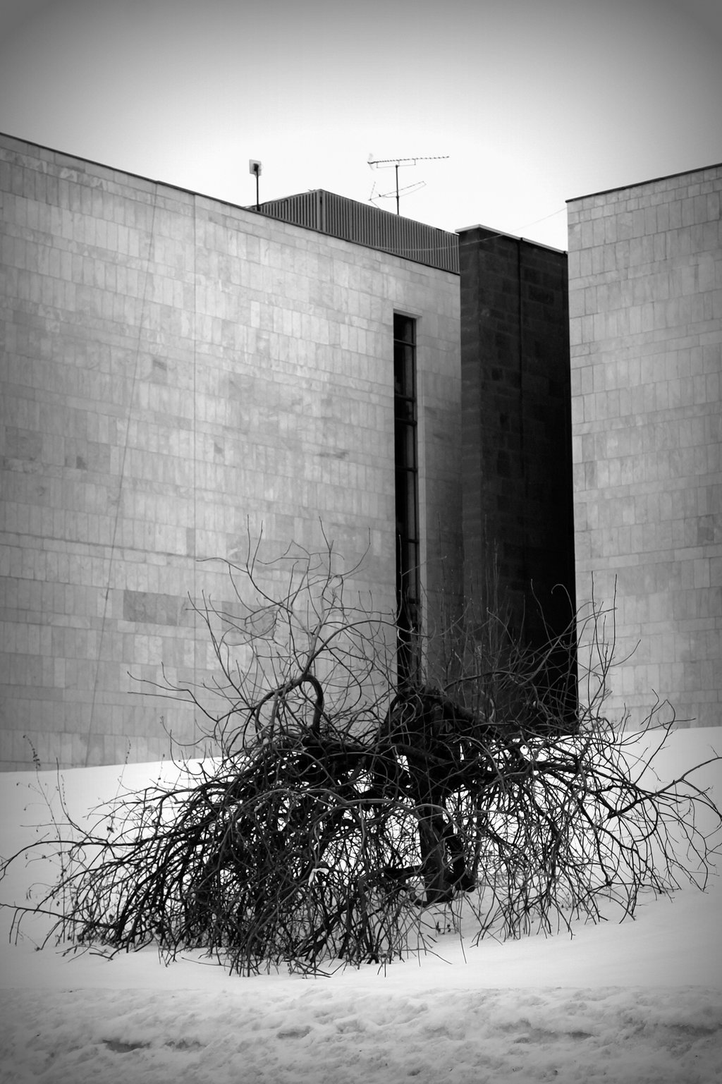 Archillect ID 392468