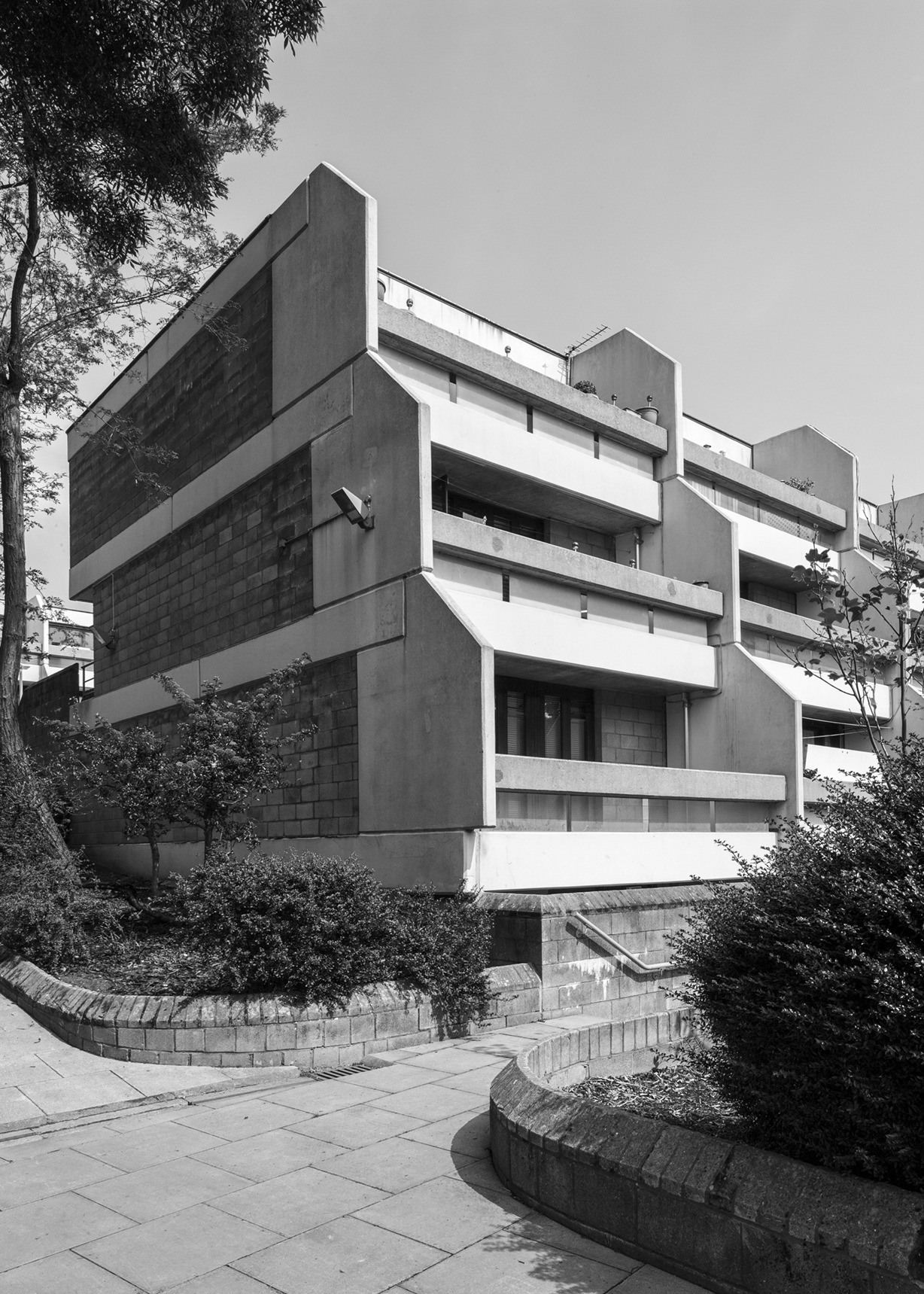 Archillect ID 392514