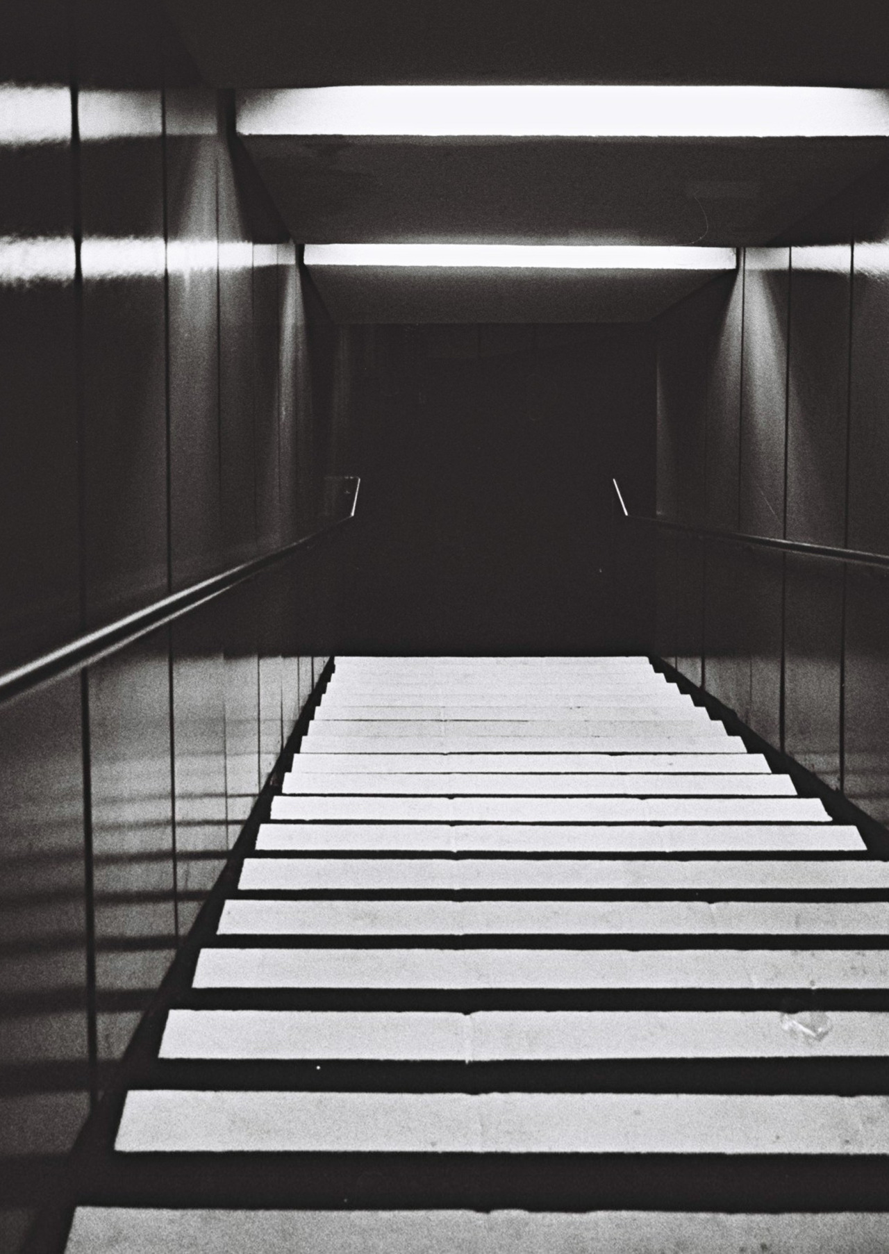 Archillect ID 392520