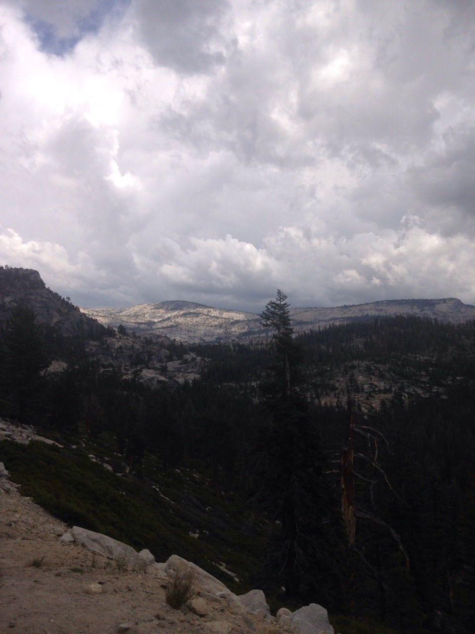 Archillect ID 392531