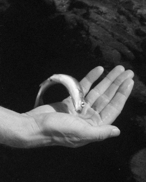 Archillect ID 392543