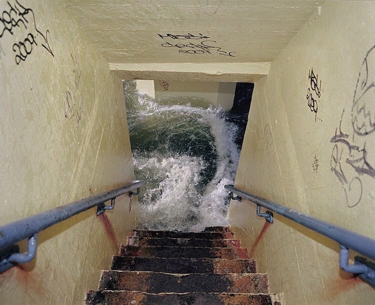 Archillect ID 392556