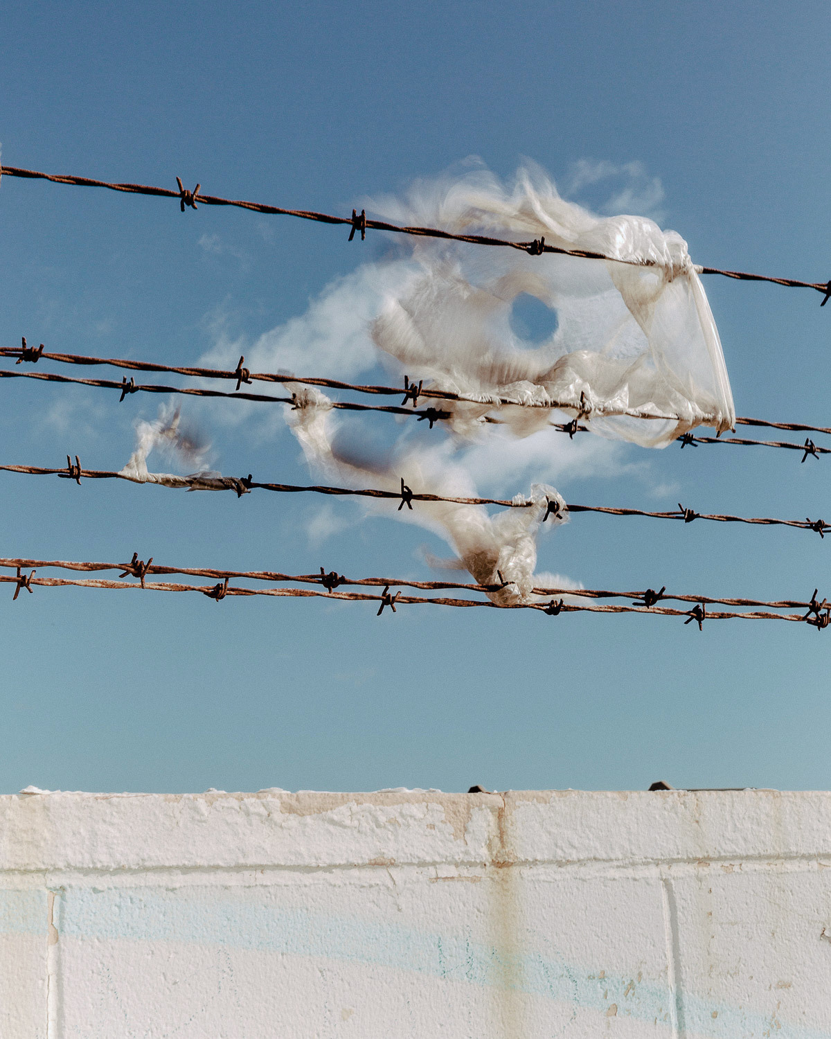 Archillect ID 392579