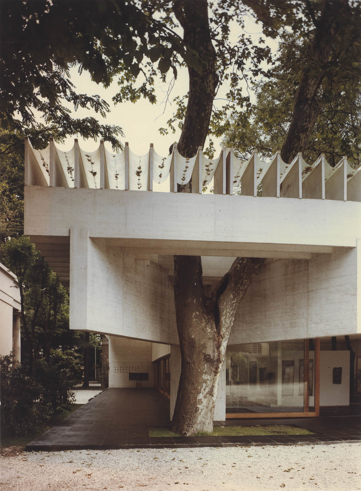 Archillect ID 392580