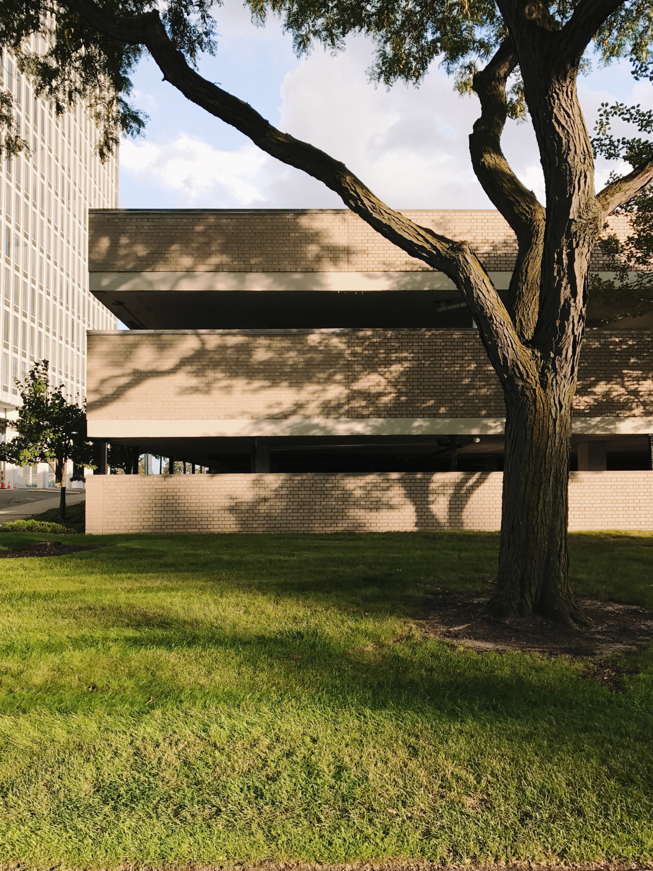 Archillect ID 392597