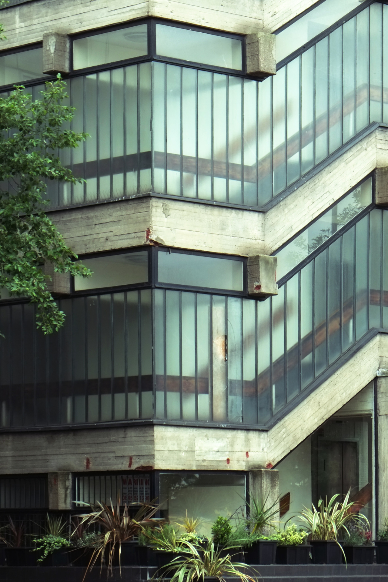 Archillect ID 392603