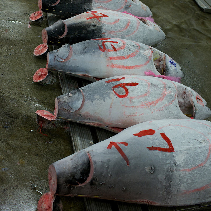 Archillect ID 392613