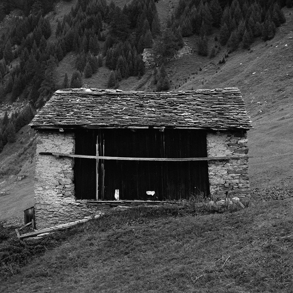 Archillect ID 392649