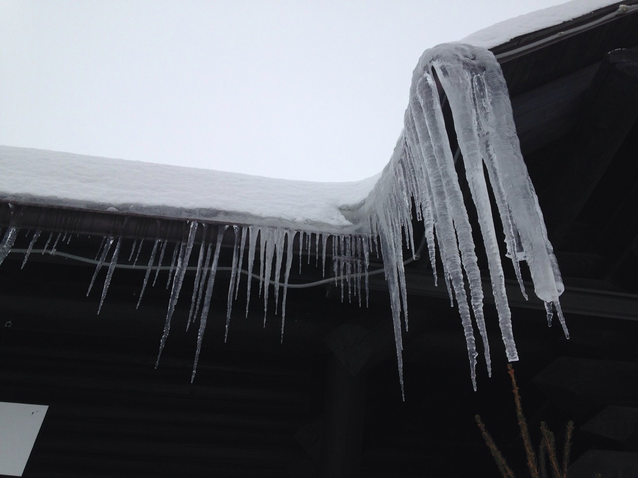 Archillect ID 392709