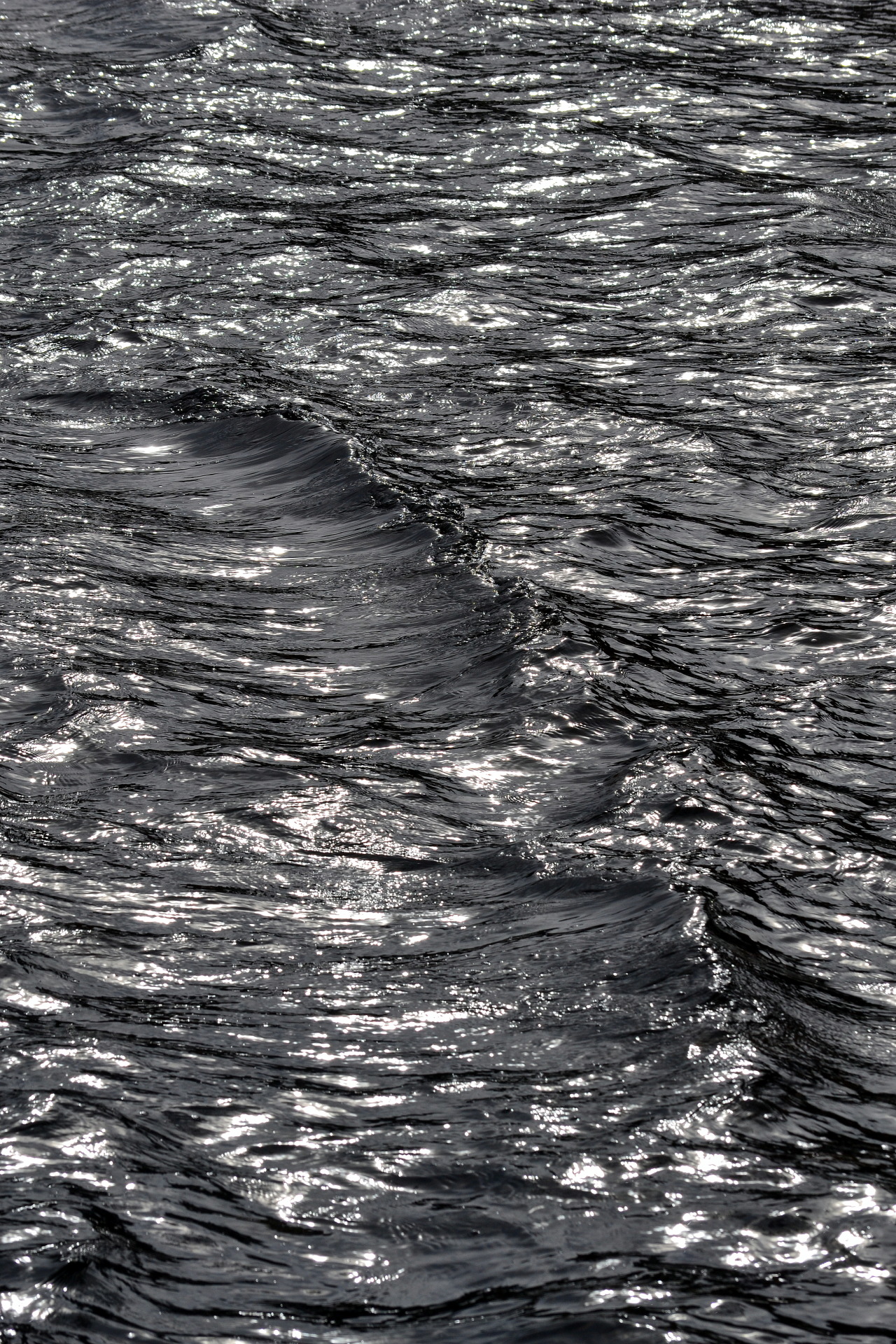 Archillect ID 392723