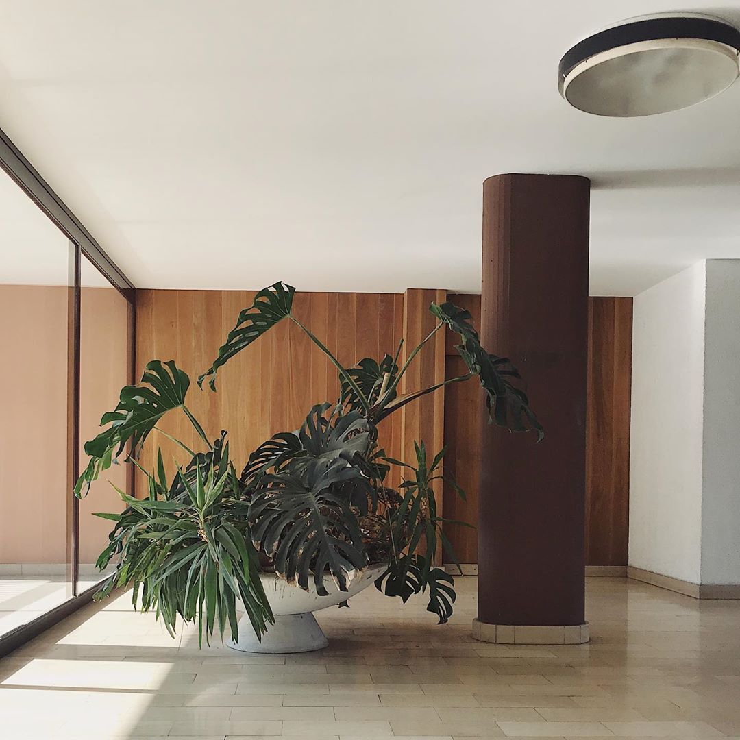 Archillect ID 392733