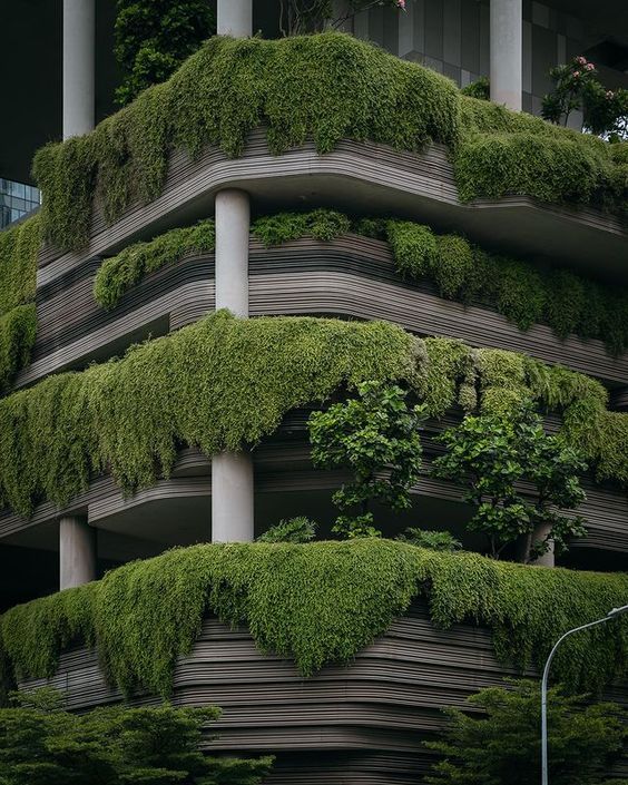 Archillect ID 392759