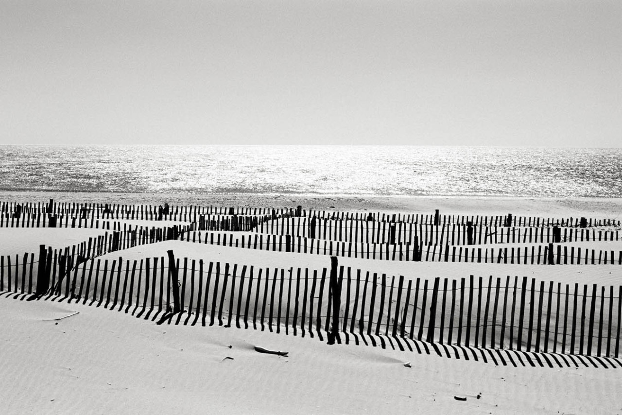 Archillect ID 392766