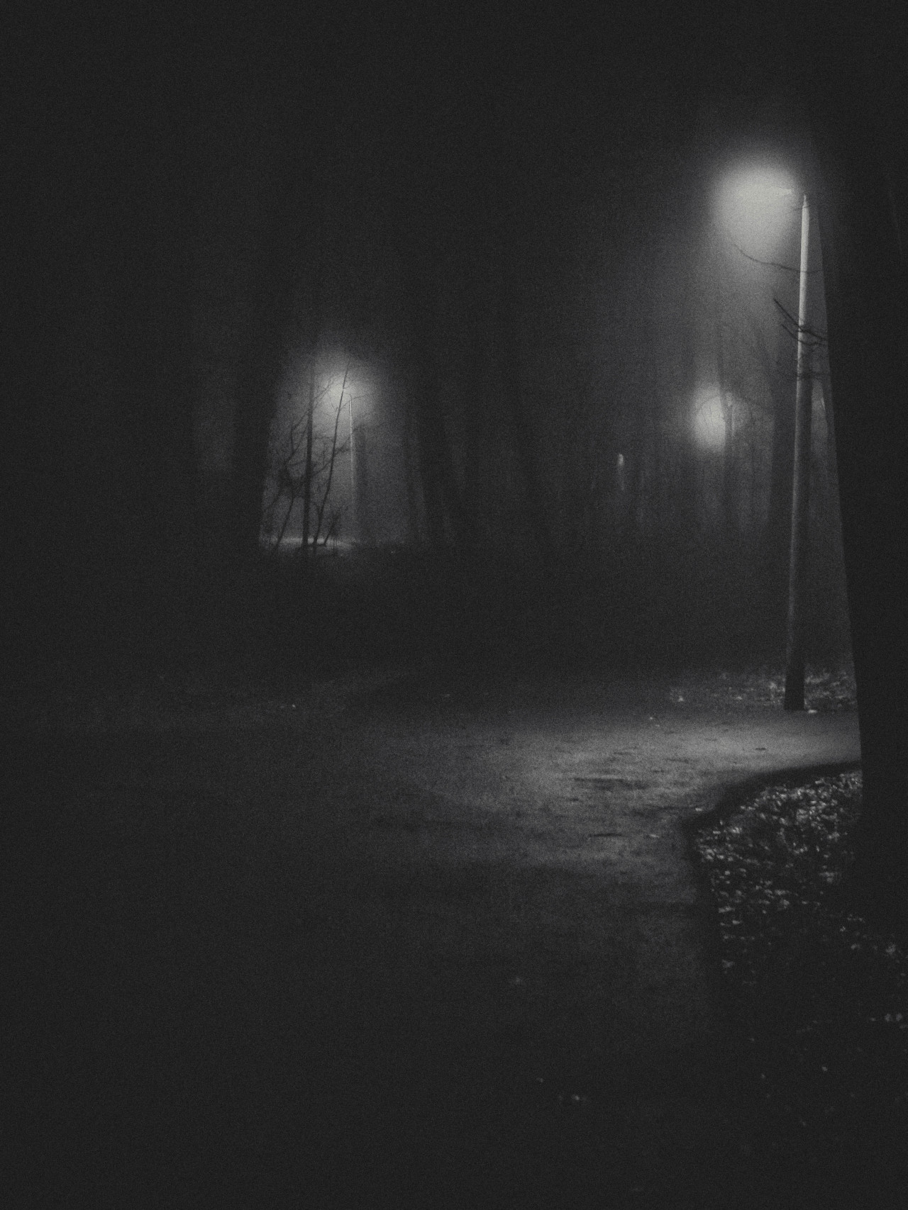 Archillect ID 392775