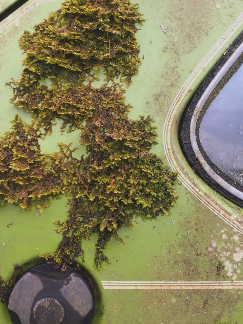 Archillect ID 392782