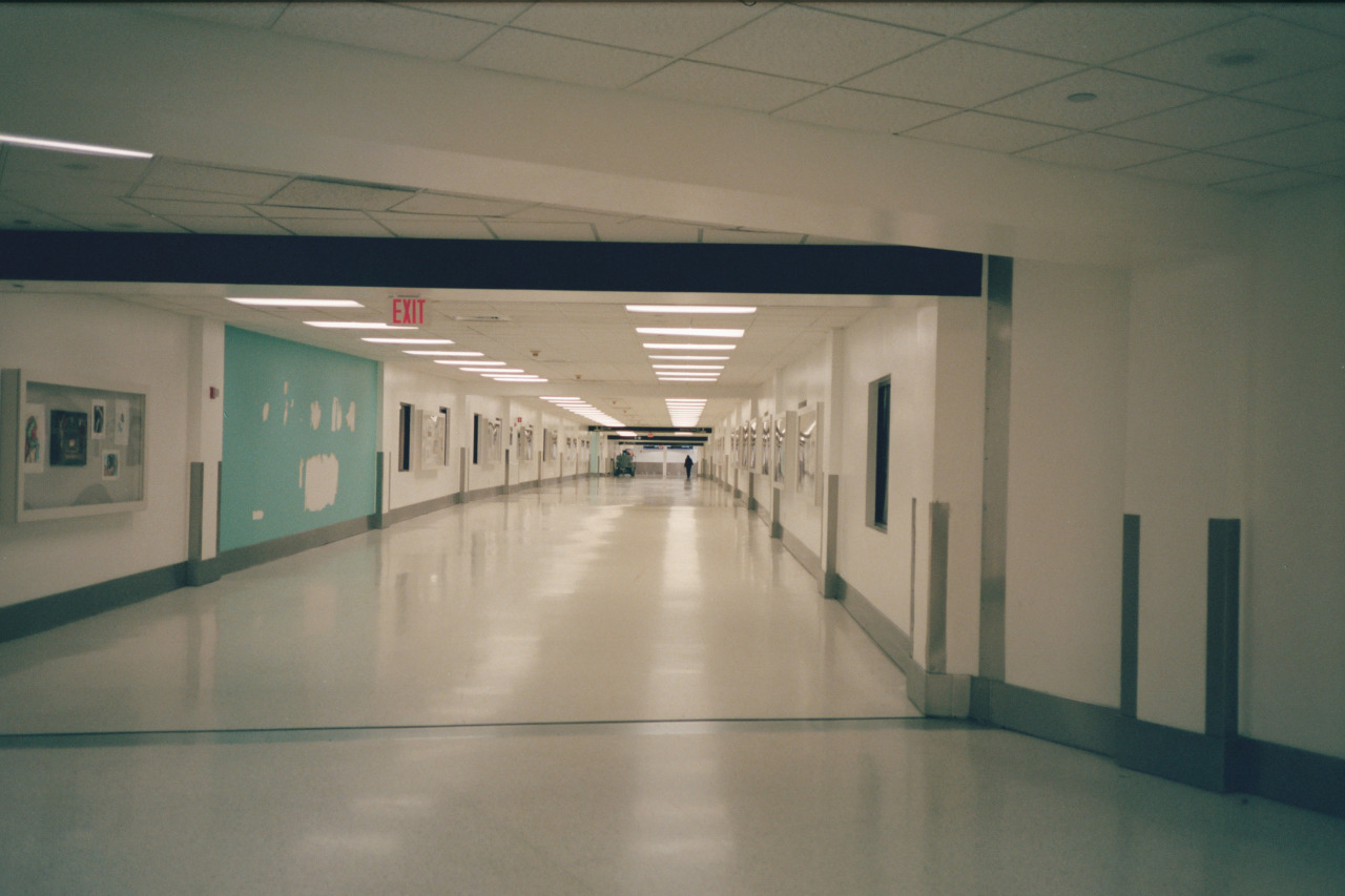 Archillect ID 392784