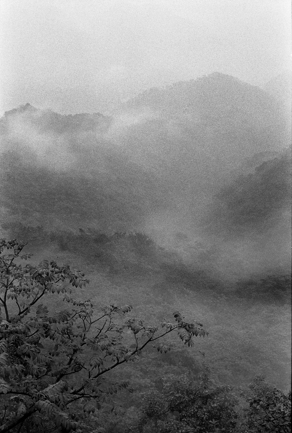 Archillect ID 392819