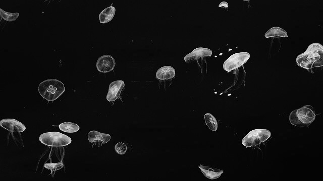 Archillect ID 392919