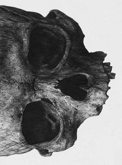 Archillect ID 392921