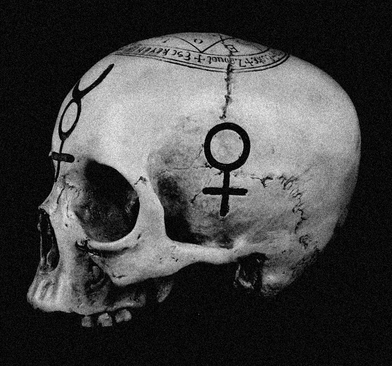 Archillect ID 392991